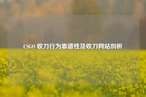 CSGO 收刀行为靠谱性及收刀网站剖析