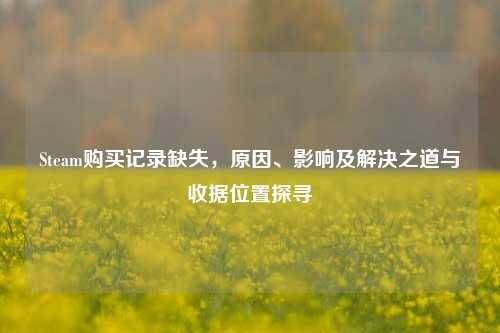 Steam购买记录缺失，原因、影响及解决之道与收据位置探寻