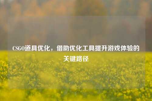 CSGO道具优化，借助优化工具提升游戏体验的关键路径