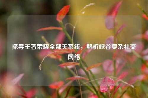 探寻王者荣耀全部关系线，解析峡谷复杂社交网络