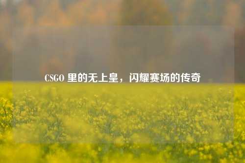 CSGO 里的无上皇，闪耀赛场的传奇