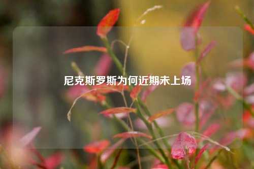 尼克斯罗斯为何近期未上场