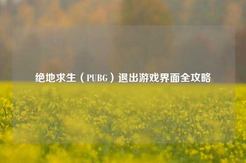 绝地求生（PUBG）退出游戏界面全攻略