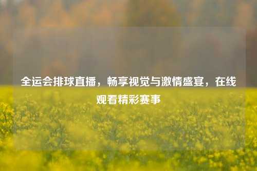 全运会排球直播，畅享视觉与激情盛宴，在线观看精彩赛事