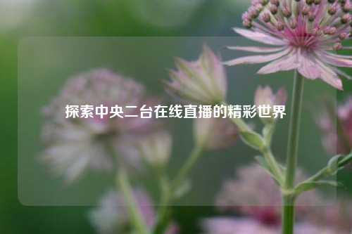 探索中央二台在线直播的精彩世界