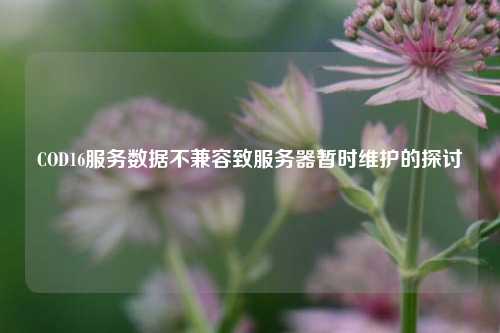 COD16服务数据不兼容致服务器暂时维护的探讨