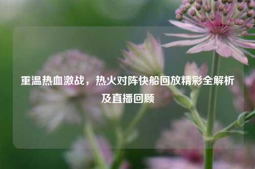 重温热血激战，热火对阵快船回放精彩全解析及直播回顾