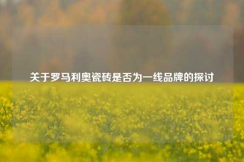关于罗马利奥瓷砖是否为一线品牌的探讨
