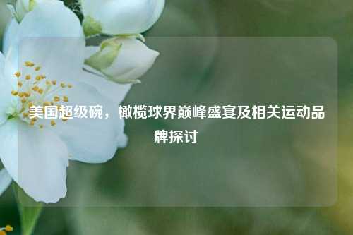美国超级碗，橄榄球界巅峰盛宴及相关运动品牌探讨
