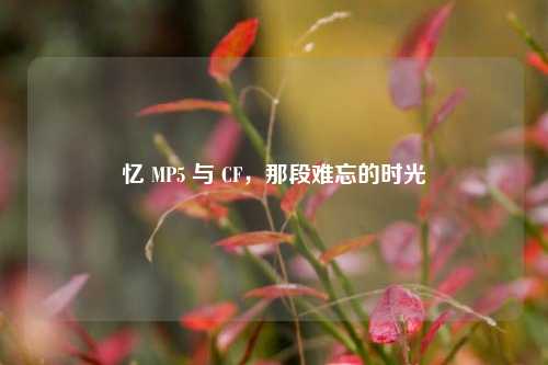 忆 MP5 与 CF，那段难忘的时光