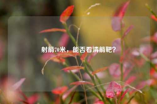 射箭70米，能否看清箭靶？