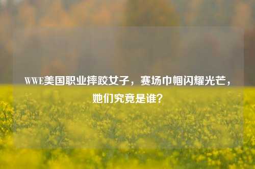 WWE美国职业摔跤女子，赛场巾帼闪耀光芒，她们究竟是谁？