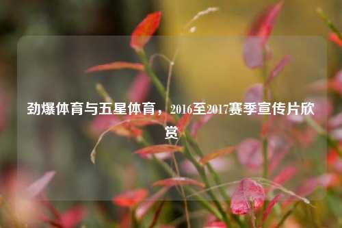 劲爆体育与五星体育，2016至2017赛季宣传片欣赏