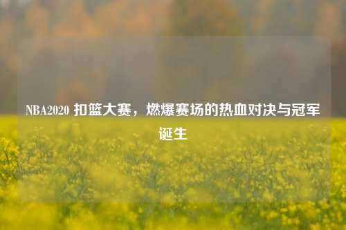 NBA2020 扣篮大赛,燃爆赛场的热血对决与冠军诞生