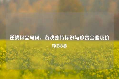 逆战极品号码，游戏独特标识与珍贵宝藏及价格探秘