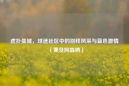 虎扑曼城，球迷社区中的别样风采与蓝色激情（兼及阿森纳）