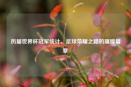 历届世界杯冠军统计，足球荣耀之路的璀璨篇章