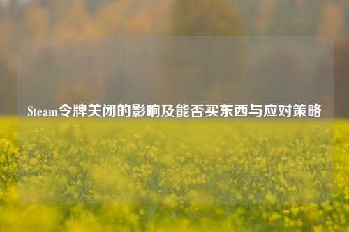 Steam令牌关闭的影响及能否买东西与应对策略