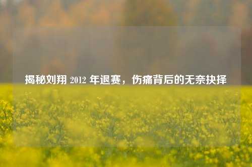 揭秘刘翔 2012 年退赛,伤痛背后的无奈抉择