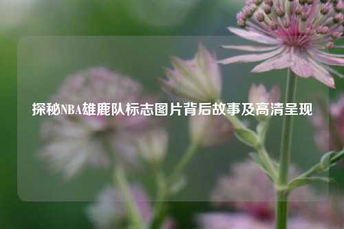 探秘NBA雄鹿队标志图片背后故事及高清呈现
