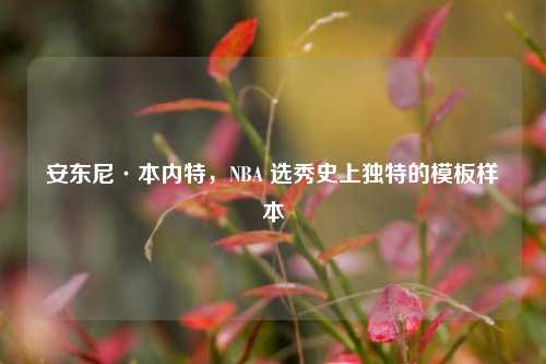 安东尼·本内特，NBA 选秀史上独特的模板样本