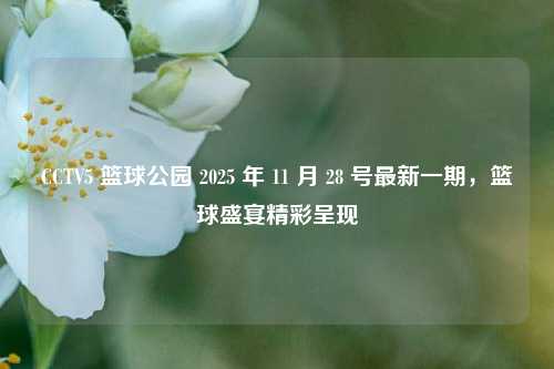 CCTV5 篮球公园 2025 年 11 月 28 号最新一期，篮球盛宴精彩呈现