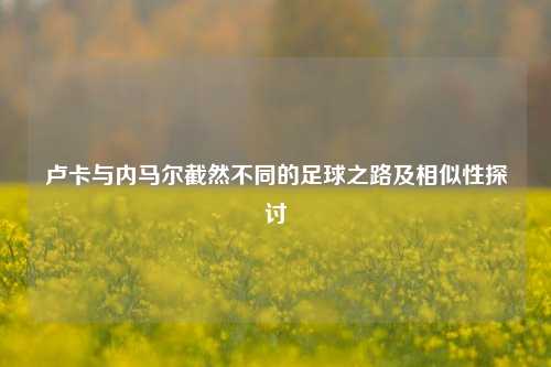 卢卡与内马尔截然不同的足球之路及相似性探讨