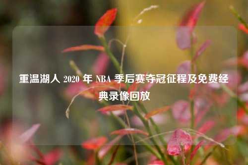 重温湖人 2020 年 NBA 季后赛夺冠征程及免费经典录像回放