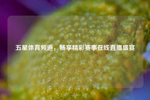 五星体育频道,畅享精彩赛事在线直播盛宴