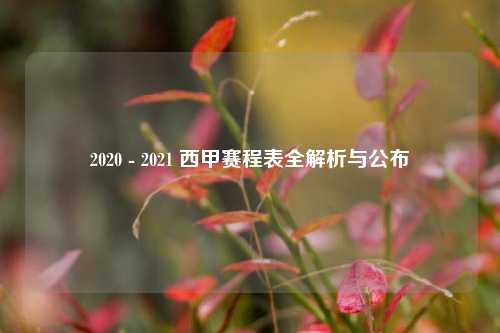 2020 - 2021 西甲赛程表全解析与公布