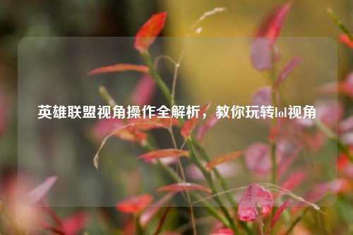 英雄联盟视角操作全解析，教你玩转lol视角