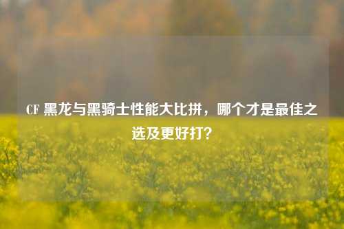 CF 黑龙与黑骑士性能大比拼，哪个才是最佳之选及更好打？