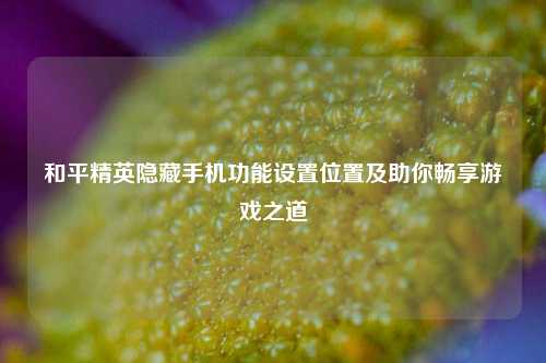 和平精英隐藏手机功能设置位置及助你畅享游戏之道