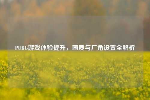 PUBG游戏体验提升，画质与广角设置全解析