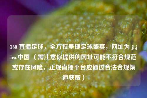 360 直播足球，全方位呈现足球盛宴，网址为 jl.jica.中国 （需注意你提供的网址可能不符合规范或存在风险，正规直播平台应通过合法合规渠道获取）