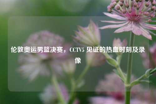 伦敦奥运男篮决赛，CCTV5 见证的热血时刻及录像
