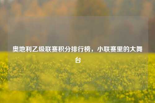 奥地利乙级联赛积分排行榜，小联赛里的大舞台