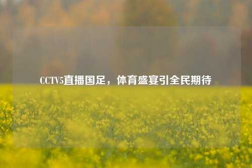CCTV5直播国足，体育盛宴引全民期待
