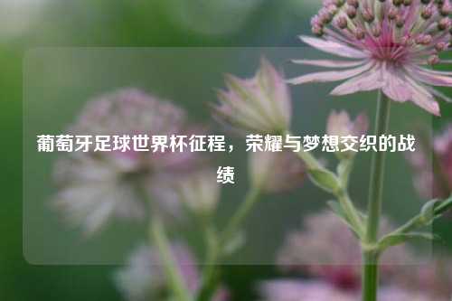 葡萄牙足球世界杯征程，荣耀与梦想交织的战绩