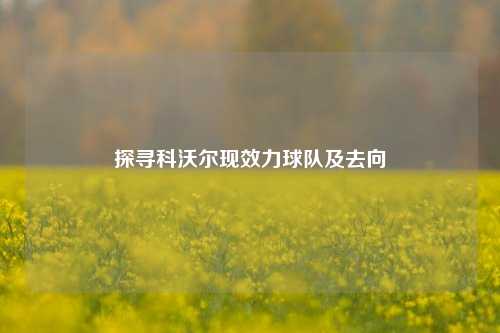 探寻科沃尔现效力球队及去向