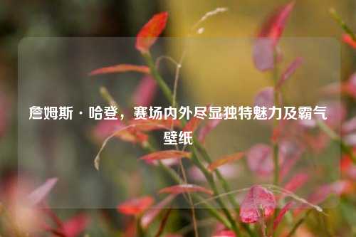 詹姆斯·哈登，赛场内外尽显独特魅力及霸气壁纸