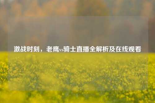 激战时刻，老鹰vs骑士直播全解析及在线观看