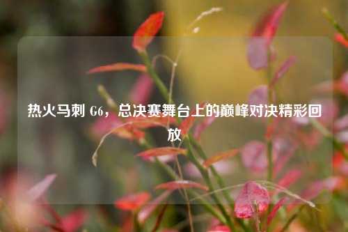 热火马刺 G6，总决赛舞台上的巅峰对决精彩回放
