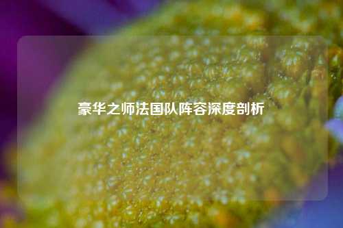 豪华之师法国队阵容深度剖析