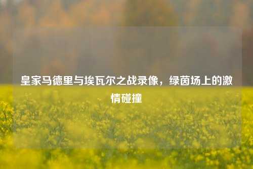 皇家马德里与埃瓦尔之战录像,绿茵场上的激情碰撞