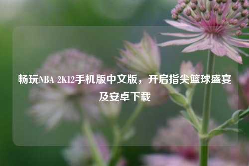畅玩NBA 2K12手机版中文版，开启指尖篮球盛宴及安卓下载