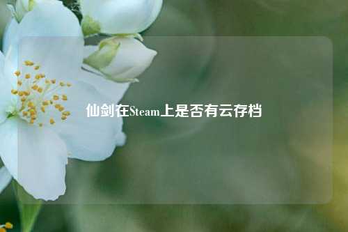 仙剑在Steam上是否有云存档