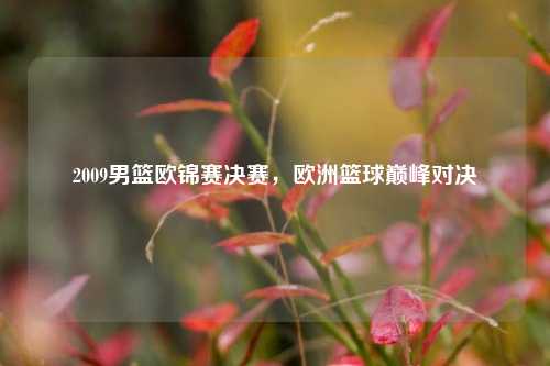 2009男篮欧锦赛决赛，欧洲篮球巅峰对决
