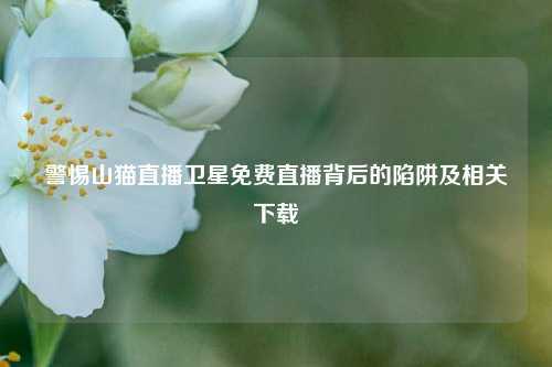 警惕山猫直播卫星免费直播背后的陷阱及相关下载