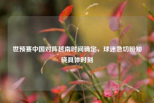 世预赛中国对阵越南时间确定，球迷急切盼知晓具体时刻